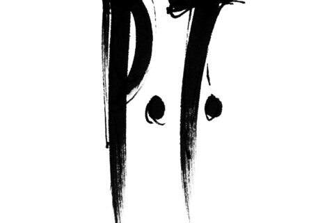 P.T.logo
